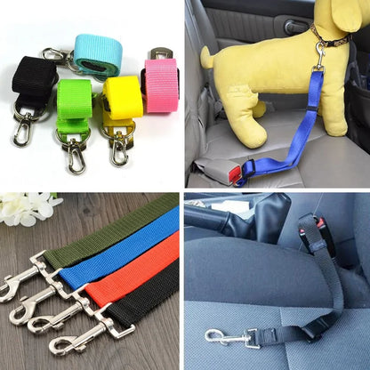 Cinturón de seguridad para coche para perros y gatos