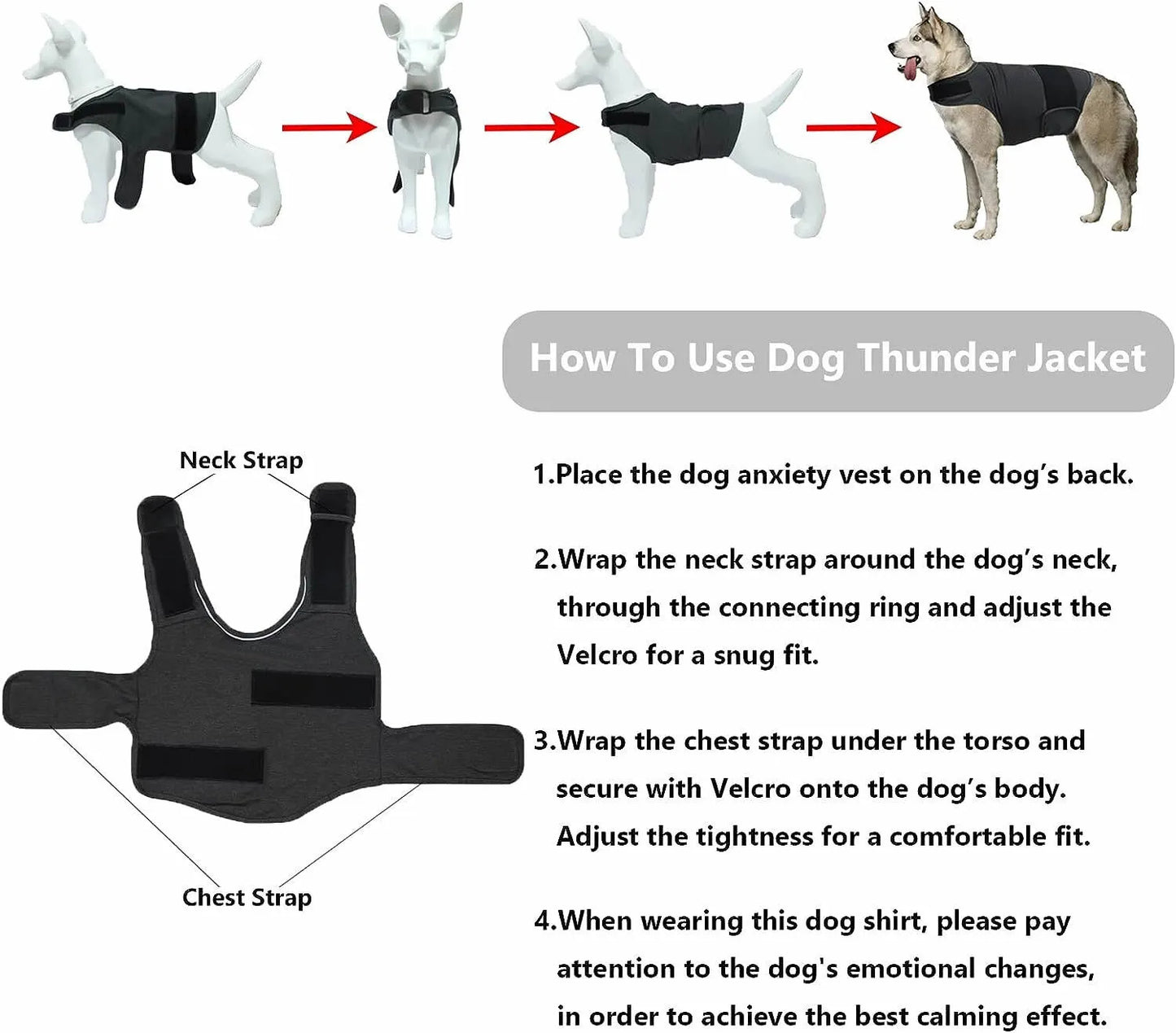 Ease Pet Anxiety - SociosCo.